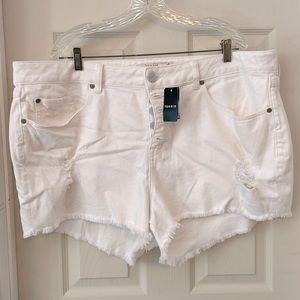 Distressed Torrid shorts